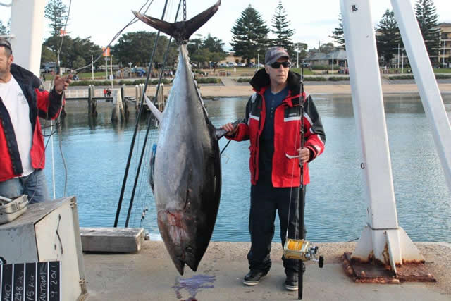 ANGLER: George Tome SPECIES: Southern Bluefin Tuna's  WEIGHT: 126 Kg LURE: JB Lures, 10 inch Taipan